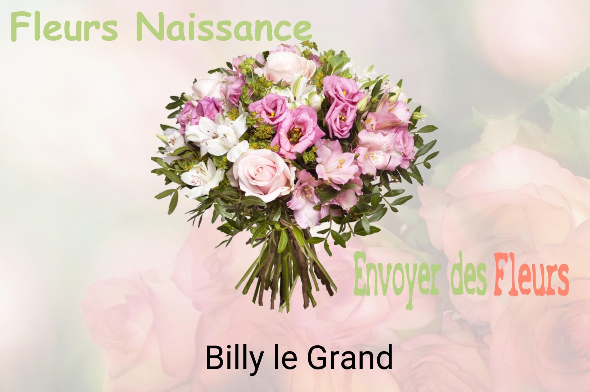 Bouquet de fleurs de naissance livré à Billy-le-Grand